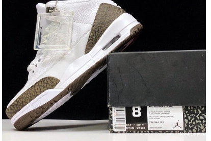 3 AIR JORDAN MOCHA 1204